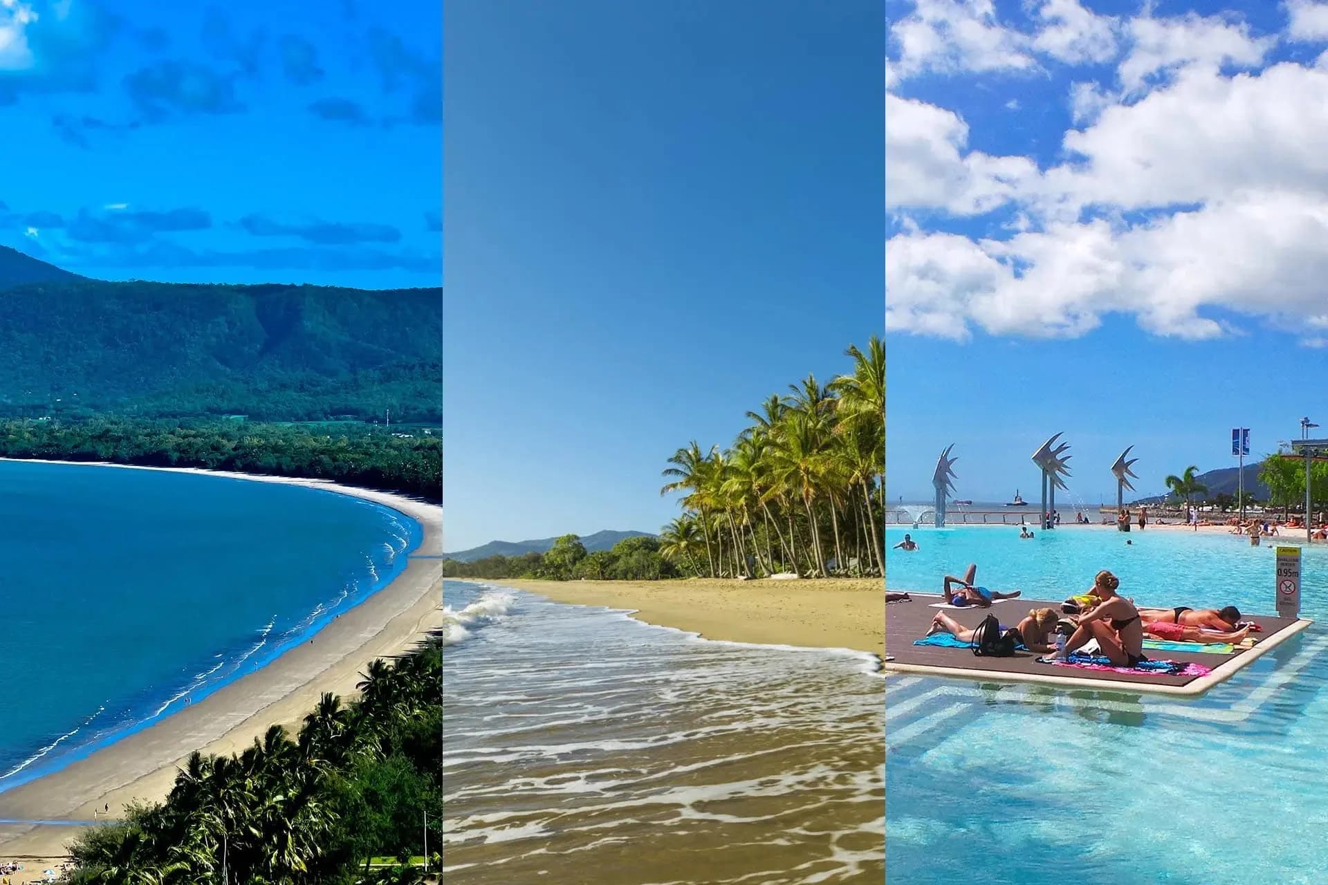 SPL Transportation Luxury Fleet